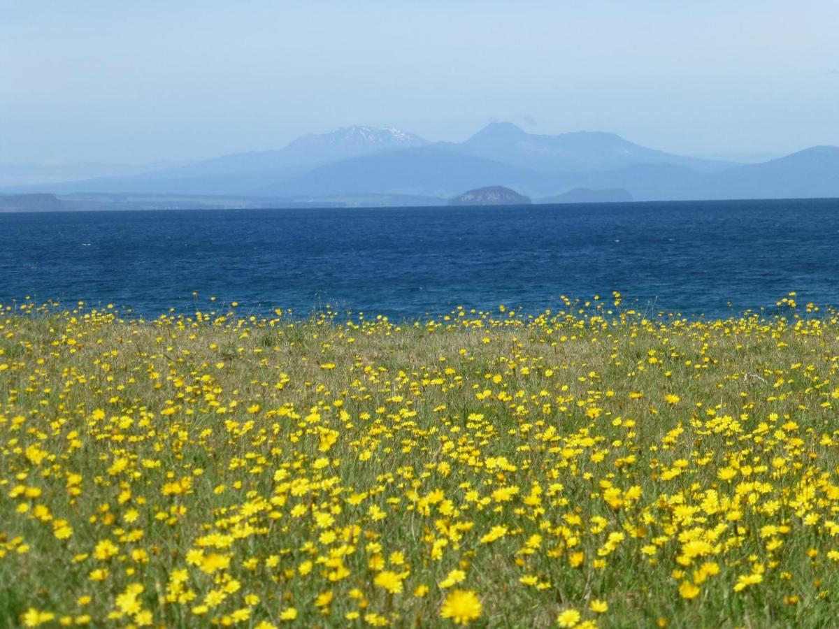 You Little Beauty - Wharewaka Beach Magic Taupo Eksteriør billede